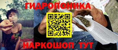 apvp Абакан