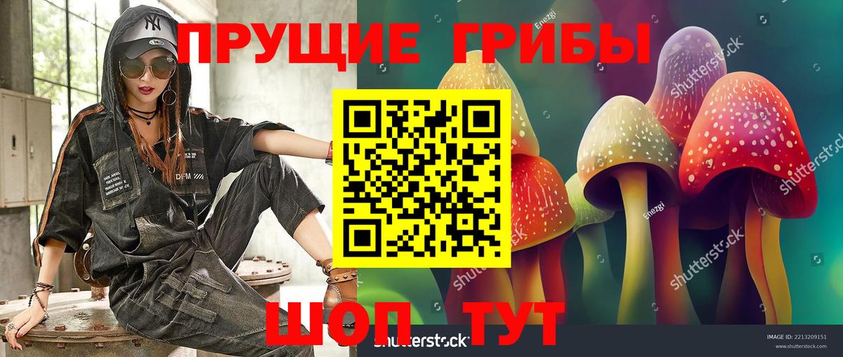 Псилоцибиновые грибы Psilocybe Апатиты