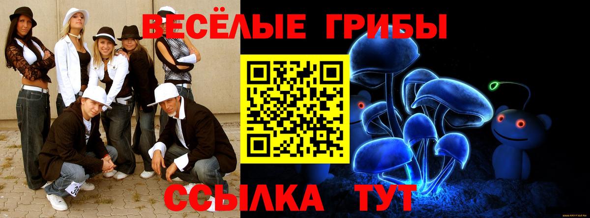 Галлюциногенные грибы Psilocybine cubensis  Псилоцибиновые грибы GOLDEN TEACHER  Вход с VPN  Апатиты 